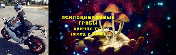 МДПВ Кодинск