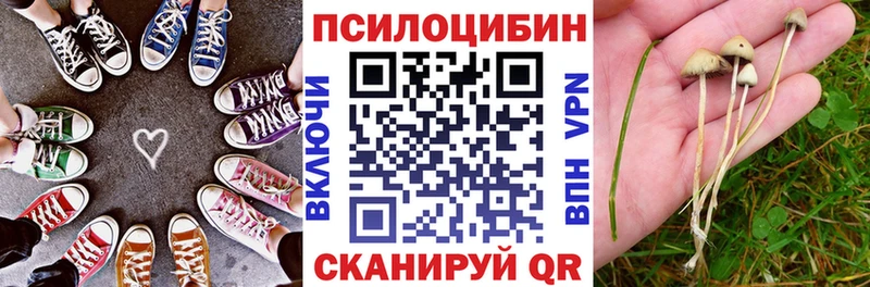 Псилоцибиновые грибы мицелий  что такое   Ухта 