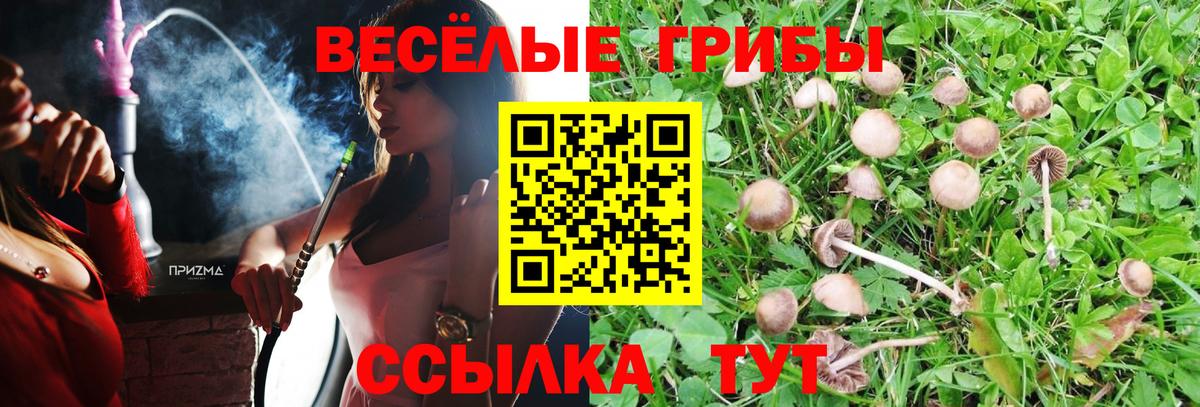 Галлюциногенные грибы GOLDEN TEACHER  Галлюциногенные грибы GOLDEN TEACHER  Вход с VPN  Ухта 