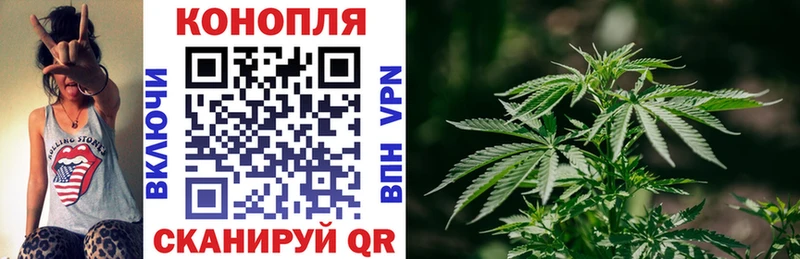 Бошки марихуана ГИДРОПОН  Ухта 